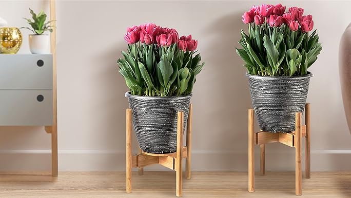 1/f SPACE×PASTIME FACTORY【Pot Stand】 1/f SPACE×PASTIME FACTORY【Pot Stand】 Amazon.com : ZPirates